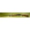 REMINGTON WINGMASTER 870 20GA  28